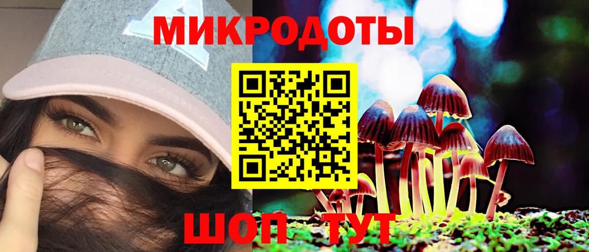 Псилоцибиновые грибы Psilocybe Соль-Илецк