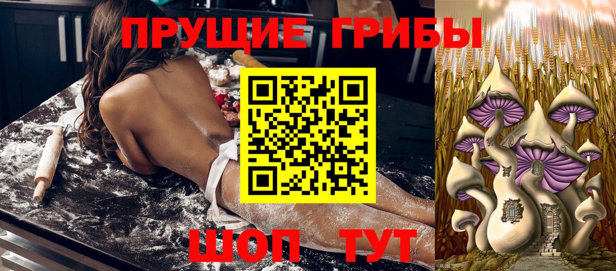 Псилоцибиновые грибы Magic Shrooms  Вход с VPN  Псилоцибиновые грибы GOLDEN TEACHER  Соль-Илецк 
